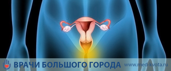 Рак Клитора Фото